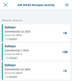 AIR MILES Receipts Summary